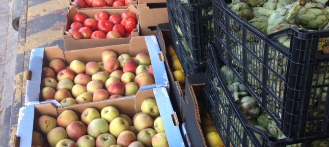 Recogida de fruta y hortalizas del Banco de Alimentos